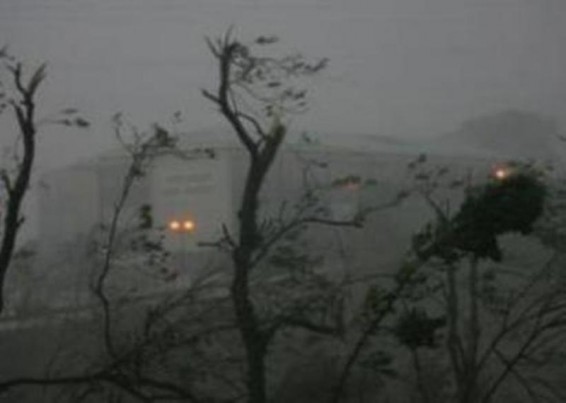 Քամին վնասել է ջերմոցային տնտեսությունները