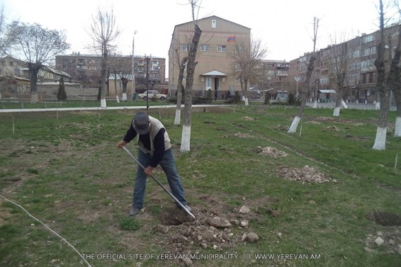 Նախապատրաստվում են համաքաղաքային շաբաթօրյակին ու ծառատունկին