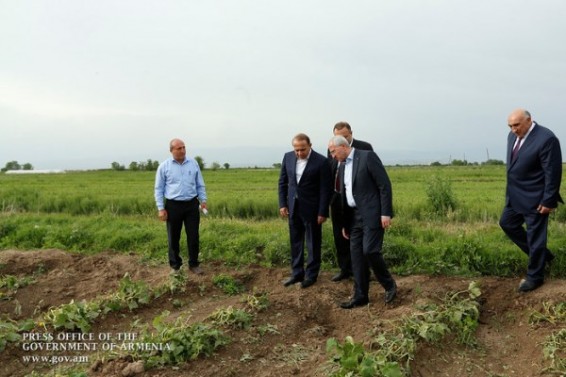 Photo. Վարչապետն այցելել է կարկտահարությունից տուժած Արմավիրի մարզի մի քանի համայնքներ