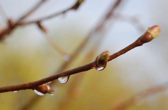 Օդի ջերմաստիճանը կնվազի 6-8 աստիճանով