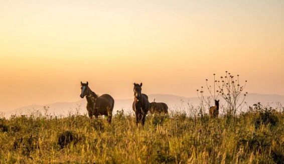 Photo. Ահա այսպիսինն է Արցախը