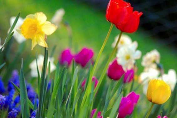 Եղանակը Հայաստանում