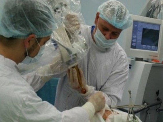 Daily Telegraph․ Առաջիկա երեք տարիներին դոնորական մարմինների մեջ կսկսեն սառեցված ուղեղ փոխպատվաստել