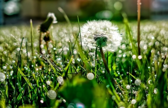 Եղանակը Հայաստանում