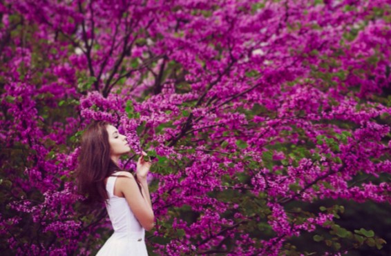 Ինչ եղանակ է սպասվում մայիս ամսին