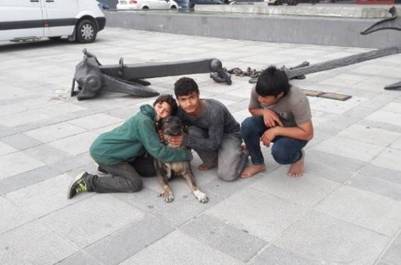 Թուրքիայում սիրիացի երեխաների գրեթե կեսը դպրոց չի հաճախում. երկրի կրթության նախարարության զեկույցը