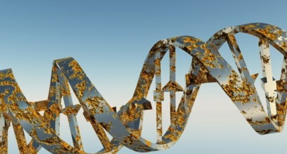 Ստեղծվել է աուտոիմունային հիվանդությունների հետ կապված գենետիկ փոխակերպումների առաջին կատալոգը