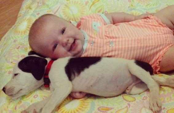 Photo. Փոքրիկը քնում է միայն իր սիրելի շան ընկերակցությամբ