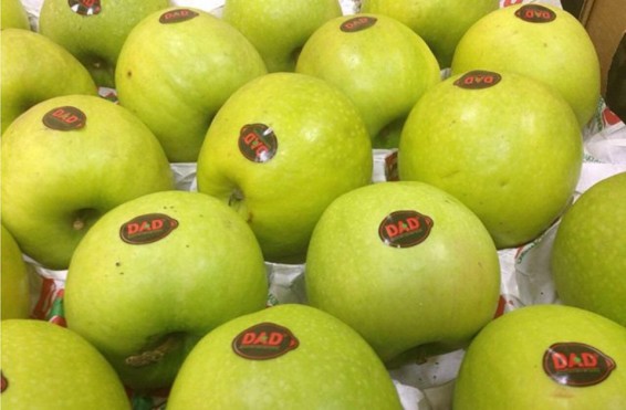 Ադրբեջանական լոլիկը և խնձորն անվտանգ են. Հրաչ Բերբերյան