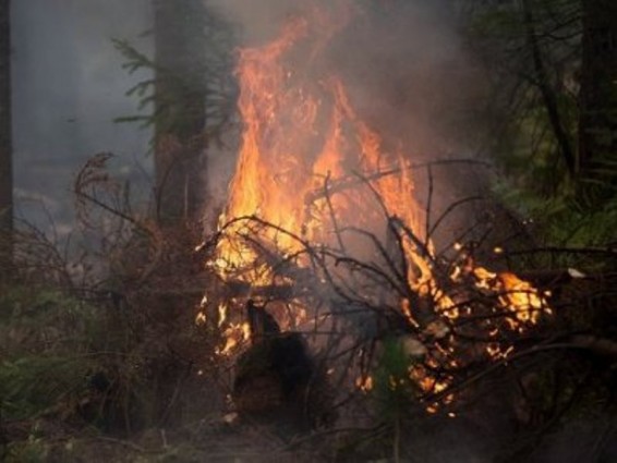 Չինաստանում անտառային հրդեհները մարելուն մասնակցում է ավելի քան 3000 մարդ