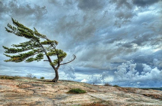 Քամին վնաս է հասցրել Մեծ Մասրիկ գյուղում