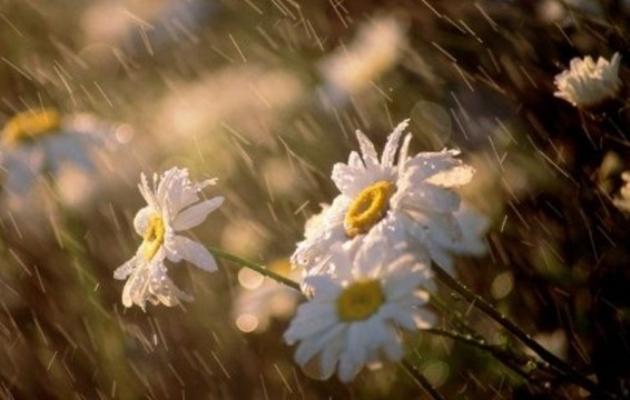 Եղանակը Հայաստանում