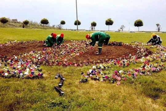 Երևանը կզարդարեն շուրջ 2 միլիոն ծաղիկներ