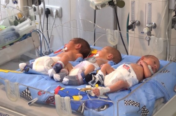 Video. Անունները ավագ որդիներս են որոշել. նորածին եռյակի մայր