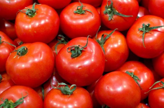 Առաջիկա 3 տարում թուրքական լոլիկը չի վերադառնա ռուսական շուկա