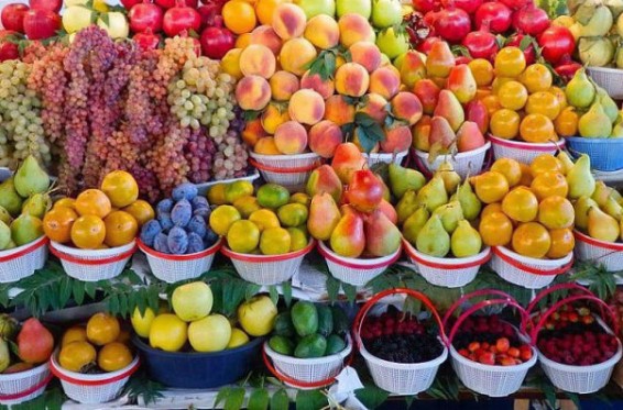 10 վերամշակող ընկերություններ գյուղտնտեսություններին պարտք են 237,6 մլն դրամ. Գյուղնախ