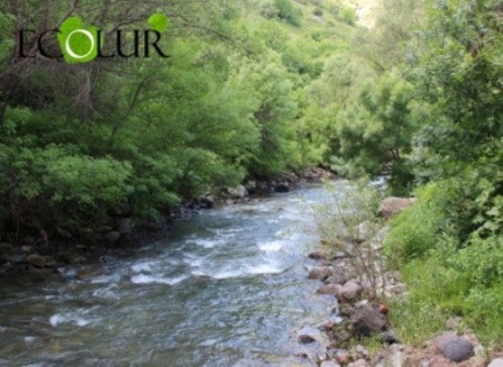 ՀԷԿ-երի պատճառով ձուկը վերանում է. Եղեգիսի համայնքապետ