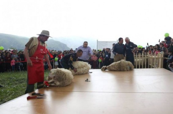 «Ոչխարների Խուզում» փառատոնը հնարավորություն է ընձեռում մեր համայնքներին ներկայացնել իրենց արտադրանքը