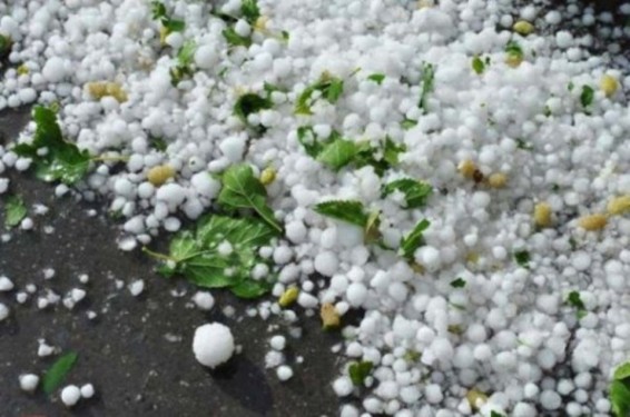 Կարկուտը տեղացել է Արմավիրի, Տավուշի և Շիրակի մարզերում. գյուխնախարարությունը ճշտում է վնասի չափը