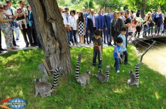 Կատվային լեմուրները տեղափոխվել են Երևանի կենդանաբանական այգու գործարկվող տարածք