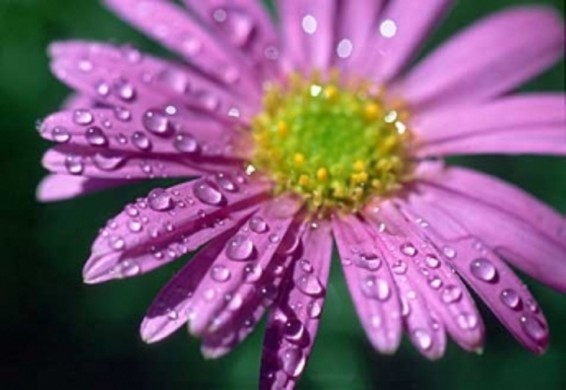 Եղանակը Հայաստանում