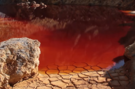 Video. Կավարտ գետում կյանքի հետ անհամատեղելի քանակության ծանր և վտանգավոր մետաղներ են հայտնաբերվել. ՀԲՃ