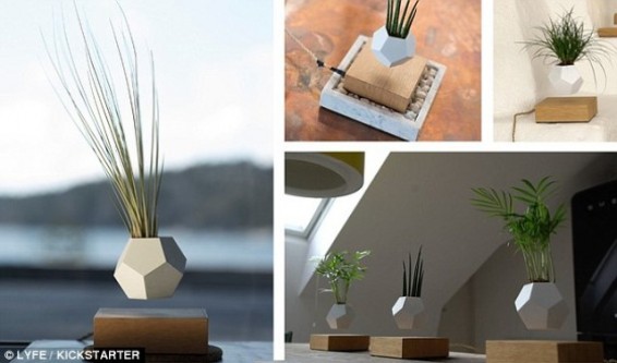 Photo. Շվեդներն օդում «ճախրող» ծաղկաման են ստեղծել