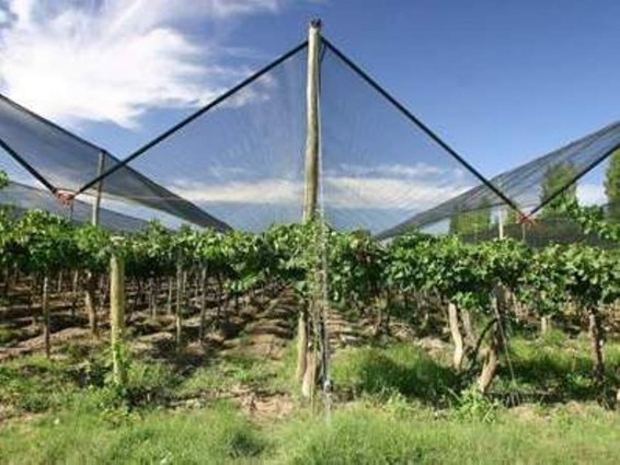 Հակակարկտային ցանցեր կտրամադրվեն շարային պտղատու այգիներին. կստեղծվի պասիվ արեւային չորանոց. Հովիկ Սայադյան