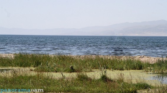 Սևանա լճի մակարդակի իջեցումը կբերի անխուսափելի ճահճացման. մասնագետ