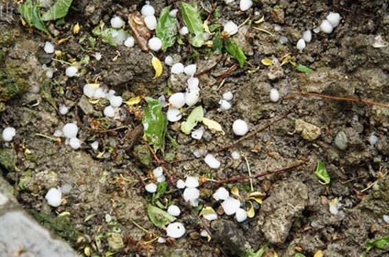 Photo. Սյունիքում կարկուտ է տեղացել. Պատճառած վնասը քիչ չէ