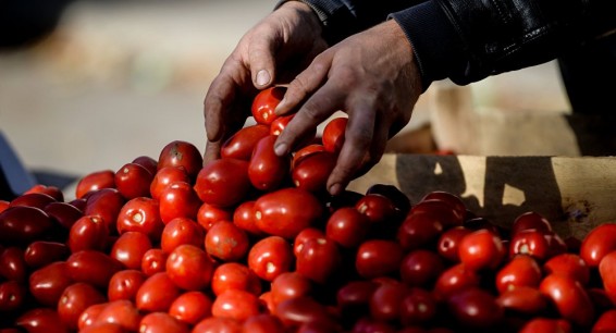 В Аштараке будут производить органические продукты