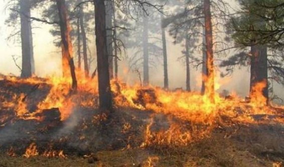 Հրդեհ Արտաշիսյան փողոցում