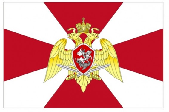 Росгвардия будет сотрудничать с частными охранными организациями