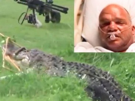 Երեք մետրանոց ալիգատորը գոլֆի դաշտում հարձակվել է ջրասուզակի վրա