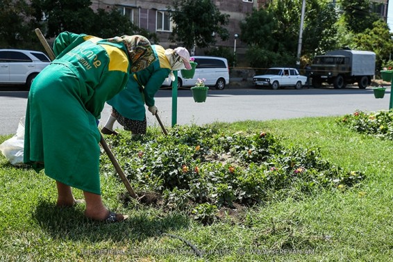 Մայրաքաղաքում մեկնարկել են նաև ծառերի բուժման լայնածավալ աշխատանքները