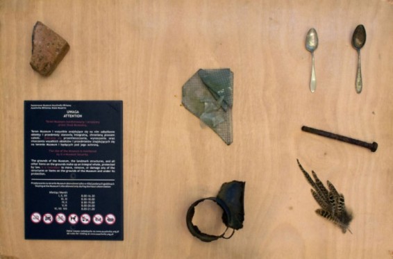 Իսրայելցի ուսանողուհին նմուշներ է գողացել «Օսվենցիմ»-ից և ցուցահանդես անցկացրել իր քոլեջում