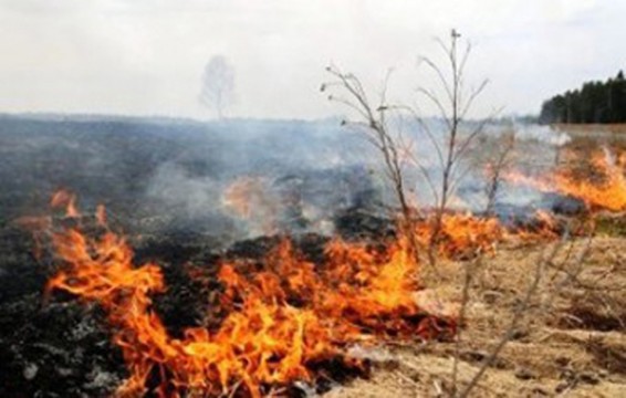 Հրդեհներ խոտածածկ տարածքներում