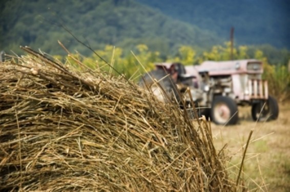 Վաղատուր գյուղում այրվել է կուտակած անասնակերը