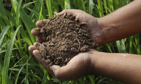 Մեկնարկում է «Օրգանական գյուղատնտեսության զարգացման» երրորդ անվճար ծրագիրը