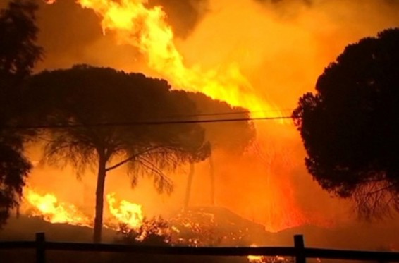 Ավելի քան 300 մարդ է տարհանվել Իսպանիայի հարավ-արևելքում հրդեհների պատճառով