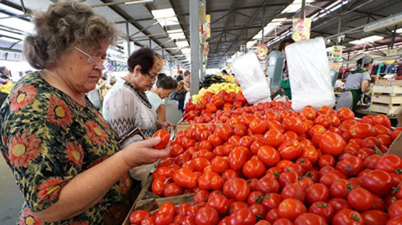 Глава Минсельхоза РФ: Москва не готова импортировать турецкие томаты и не будет этого делать