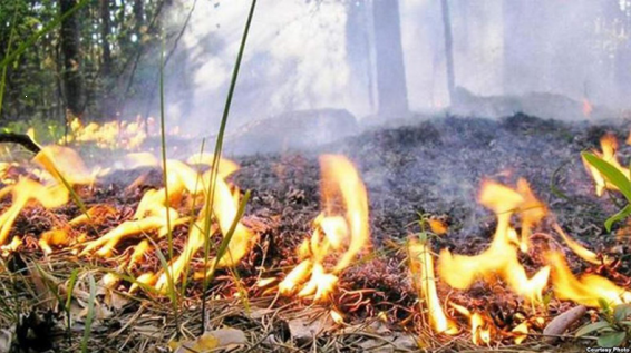 ԱԻՆ-ը հորդորում է. Պահպանել հրդեհային անվտանգության կանոնները