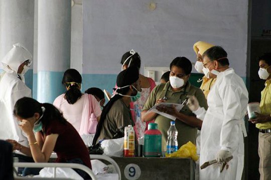 Հնդկաստանում խոզի գրիպից մոտ 300 մարդ է մահացել