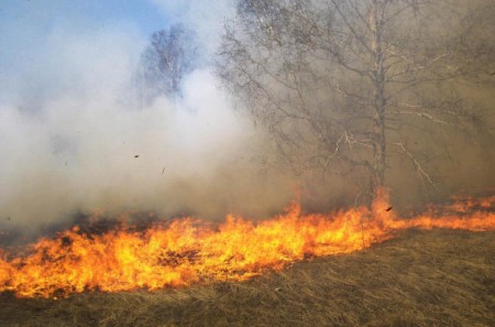 Հրդեհի դեմն առնելու հարցում հույսը ծանր տեխնիկան է. Արտավանի բնակիչ. lurer.com