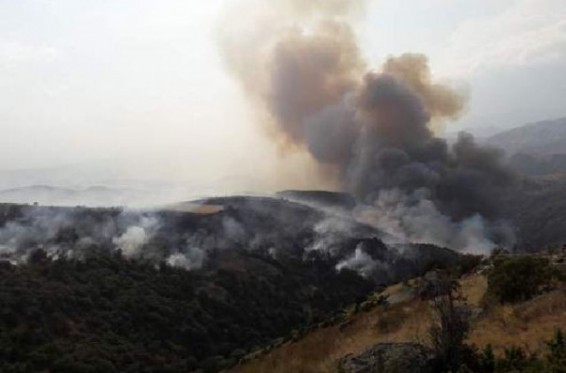 Հայտնաբերվել է Վայոց ձորում անտառներն անզգուշաբար հրդեհի մատնած կասկածյալը. Shamshyan.com