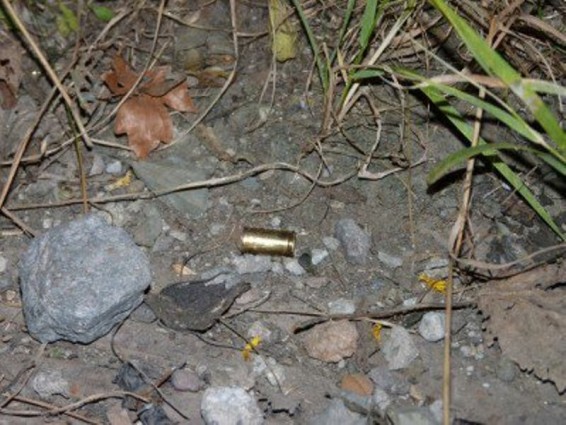 ՔԿ-ն դեռ չի պարզել «Լոլոյի Էդոյի» վրա կրակողի ինքնությունը. Նոր մանրամասներ