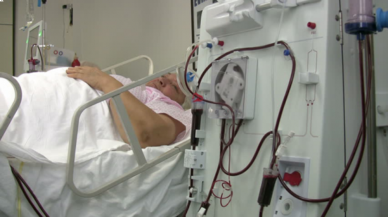 Հեմոդիալիզի ծառայությունների հնարավորությունները բավարարում են հիվանդներին անհրաժեշտ բուժում տրամադրելու համար. ԱՆ