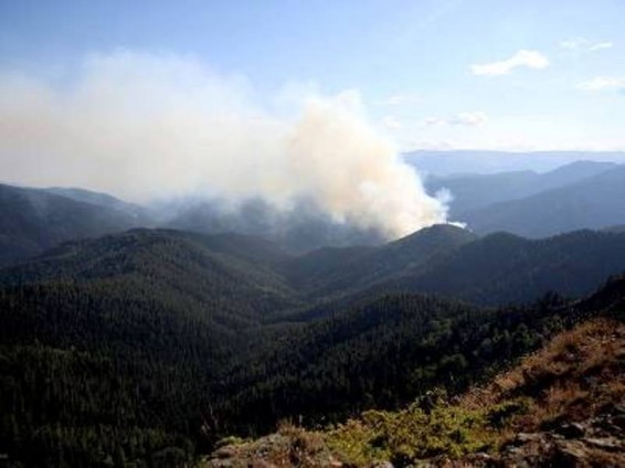 Կախեթիում Կոխտա լեռան լանջին անտառ է այրվում