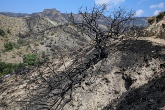 «Խոսրովի անտառ» պետական արգելոց ՊՈԱԿ-ի տարածքում մարվել են հրդեհի օջախները