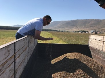 Կարեն Բոթոյանը Ծովագյուղում հետևել է հնդկացորենի բերքահավաքի աշխատանքներին
